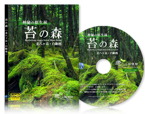 【癒し】苔の森『サウンド入り』【BD版】